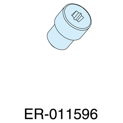 Sealing bolt M10